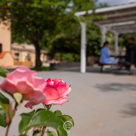 Podere 100 - Terra Appartement